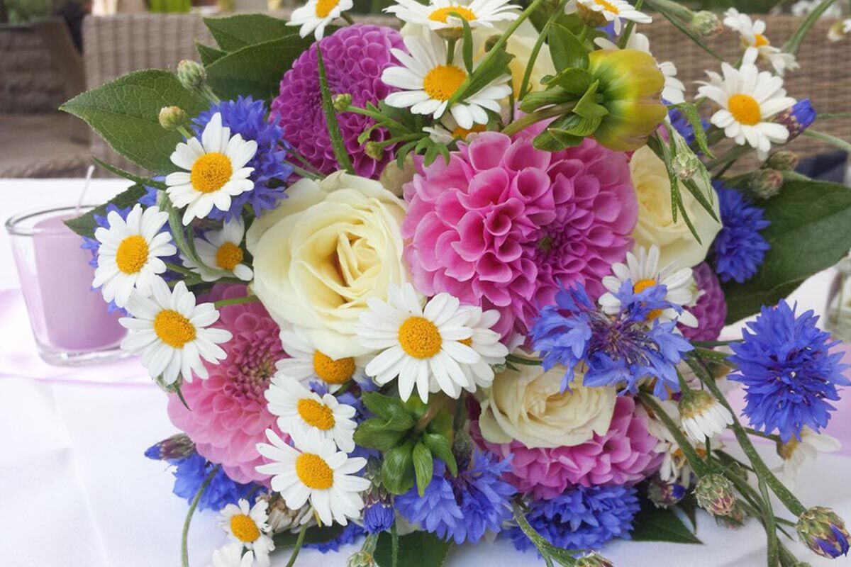 Expolitio | Hochzeits- & Eventdecoration – 82110 Germering Expolitio | Hochzeits- & Eventdecoration - 82110 Germering