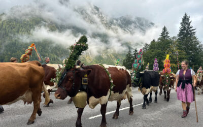 Almabtrieb in der Ramsau
